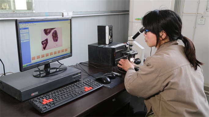 Quality Control Lab