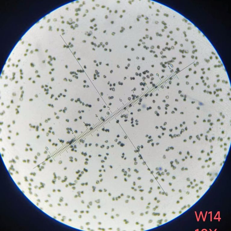 HDY Monocrystalline Diamond Micron Powder W14 crystal form