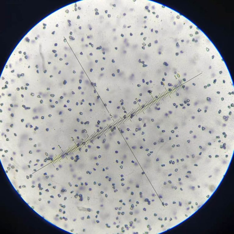 HDY Monocrystalline Diamond Micron Powder W5 crystal form