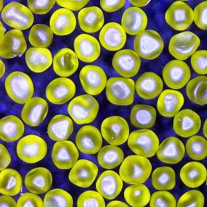 MBDS Spherical Diamond Grit