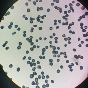 MBDS Spherical Diamond Grit