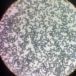 MBDS Spherical Diamond Grit