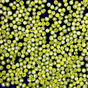MBDS Spherical Diamond Grit