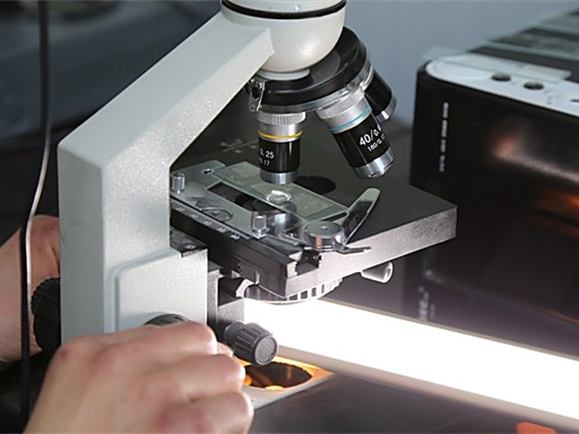 Laboratory bench work in the quality control room